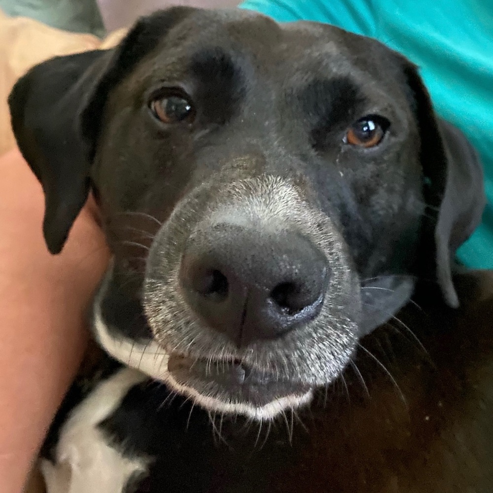 Meet your Posher, Beth